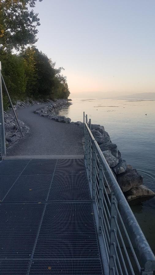 Ferienwohnung Fischbach FDH Esterno foto