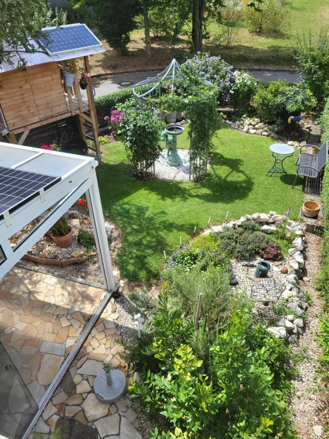 Ferienwohnung Fischbach FDH Esterno foto